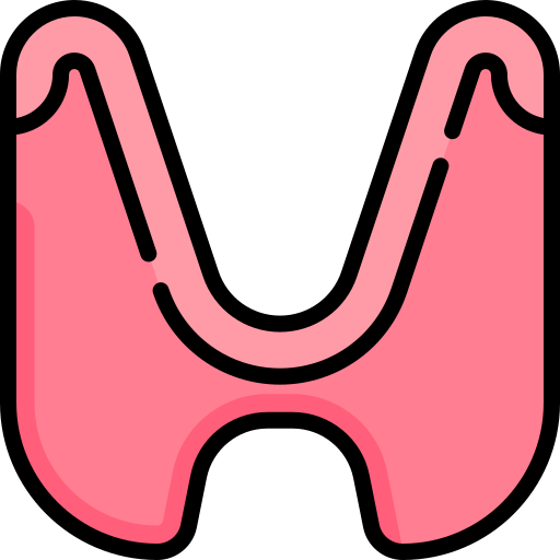 endocrien systeem Special Lineal color icoon