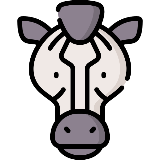 Zebra Special Lineal color icon