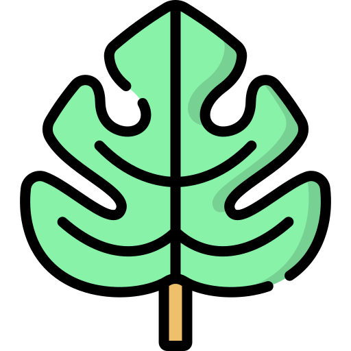 Monstera leaf Special Lineal color icon