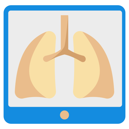 Lungs Generic Flat icon