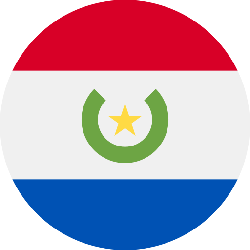paraguay Generic Flat icon