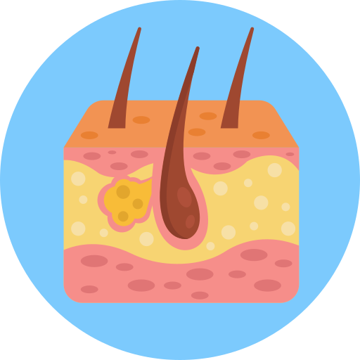 Skin Generic Circular icon