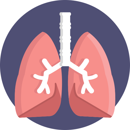 Lungs Generic Circular icon