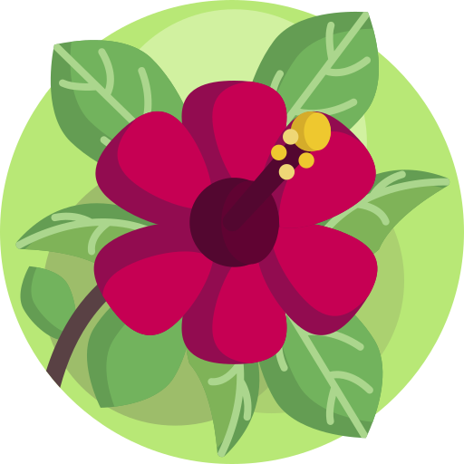 flor Maxim Flat Circular icono