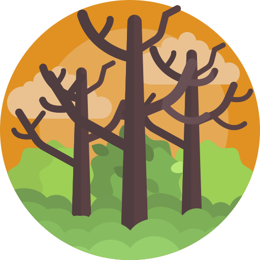albero Maxim Flat Circular icona