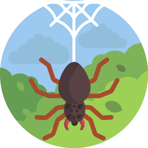 蜘蛛の巣 Maxim Flat Circular icon