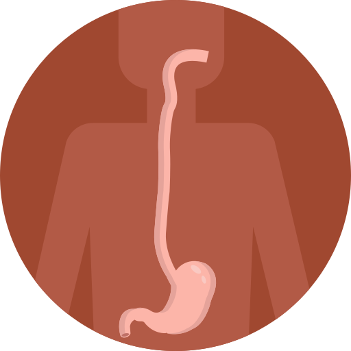 digestión Generic Circular icono