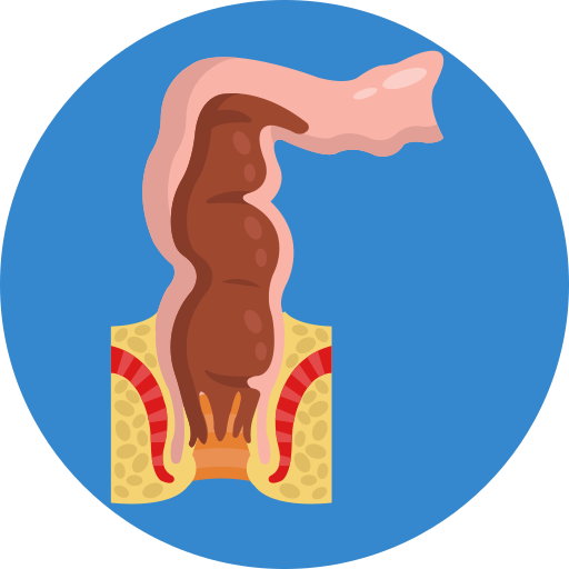 colon Generic Circular icono