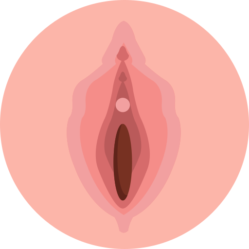 Vagina Generic Circular icon