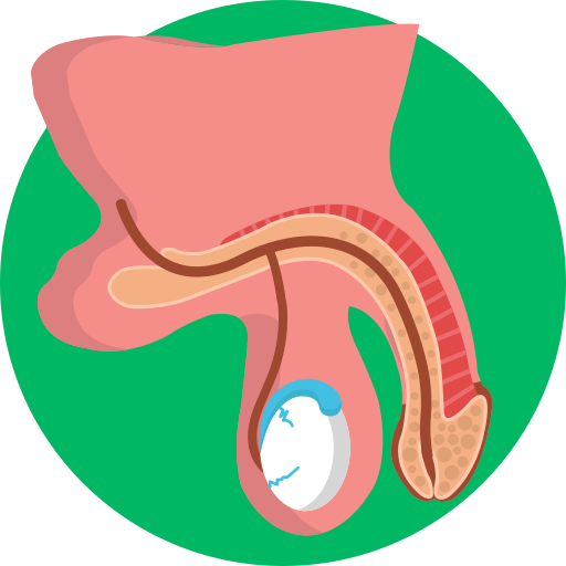 Masculine organs Generic Circular icon