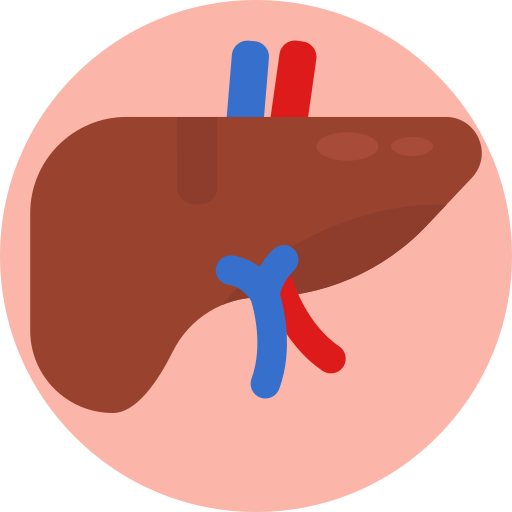肝臓 Generic Circular icon