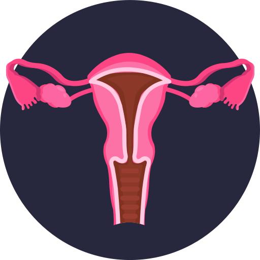 kobiece organy Generic Circular ikona