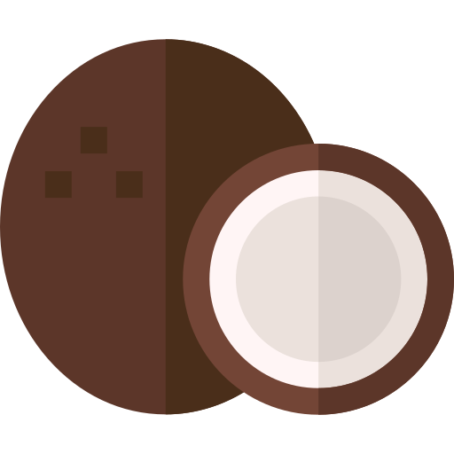 ココナッツ Basic Straight Flat icon