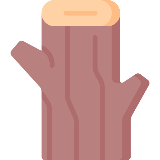 holz Special Flat icon