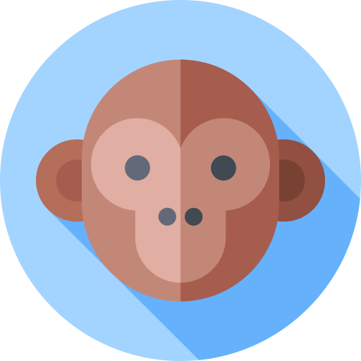 małpa Flat Circular Flat ikona