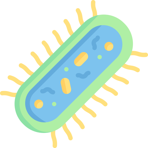 bactéries Special Flat Icône