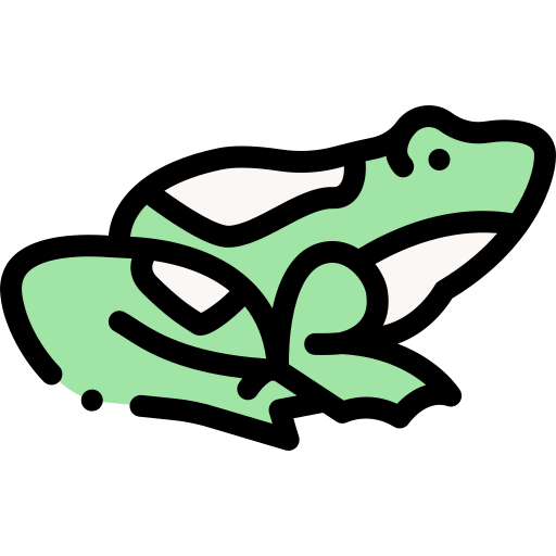 蛙 Detailed Rounded Lineal color icon