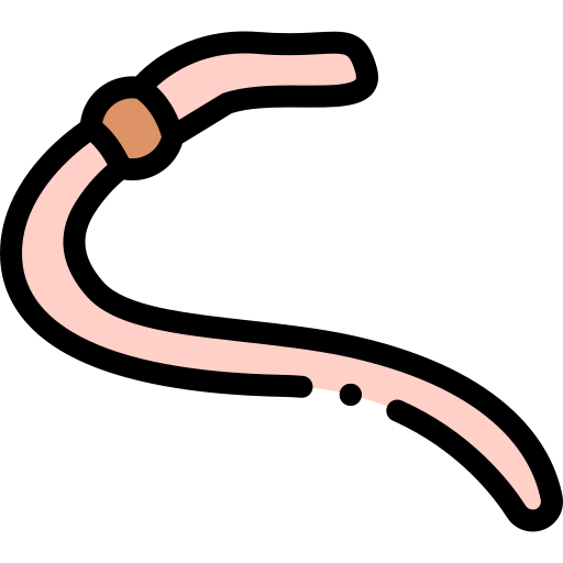 Worm Detailed Rounded Lineal color icon