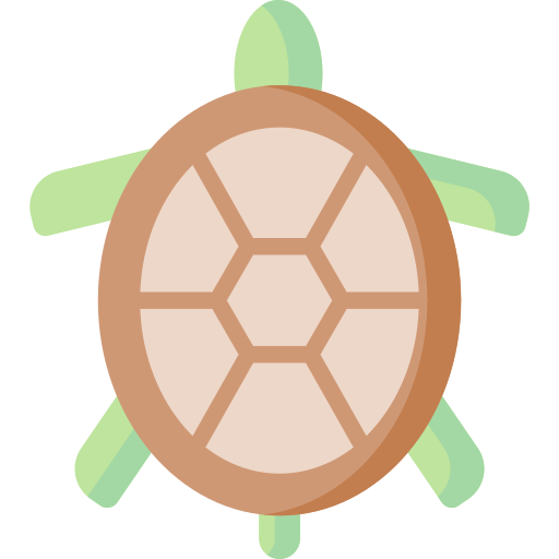 Turtle Special Flat icon
