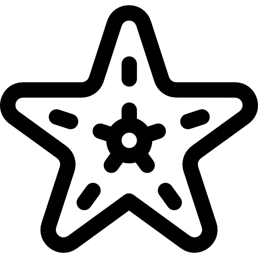 ヒトデ Basic Rounded Lineal icon