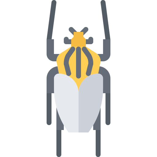 escarabajo Coloring Flat icono