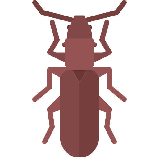 escarabajo Coloring Flat icono