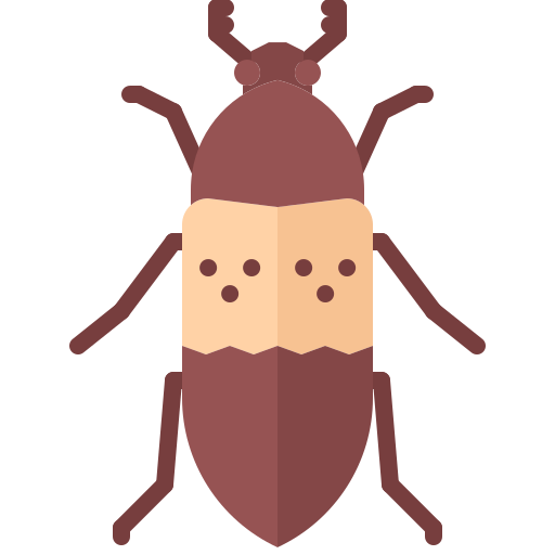 scarabée Coloring Flat Icône