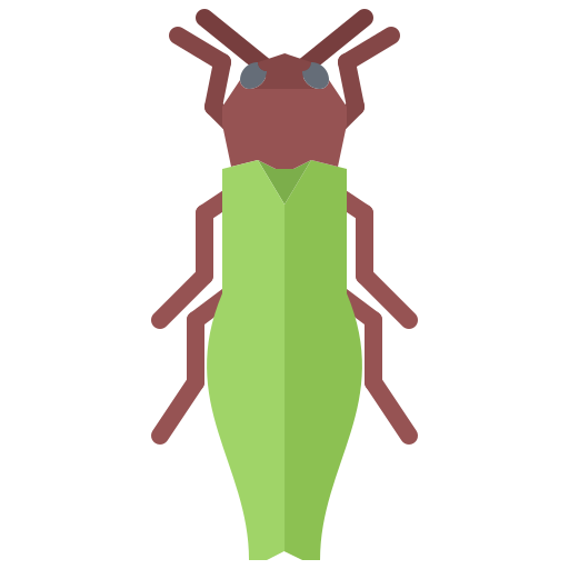 Beetle Coloring Flat icon