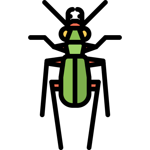 chrząszcz Coloring Color ikona
