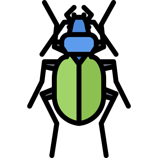 escarabajo Coloring Color icono