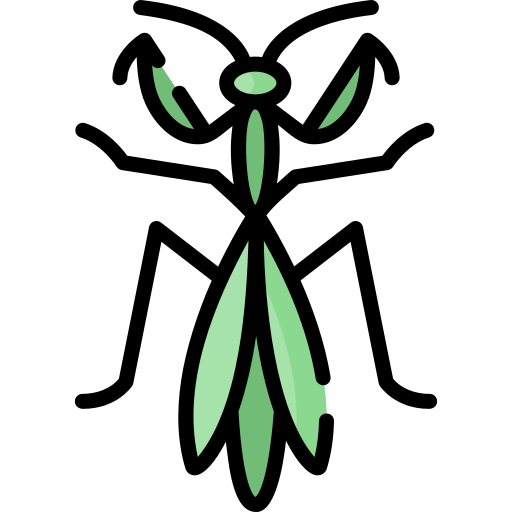 Mantis Special Lineal color icon