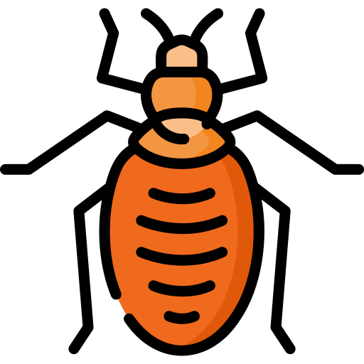 Bedbug Special Lineal color icon