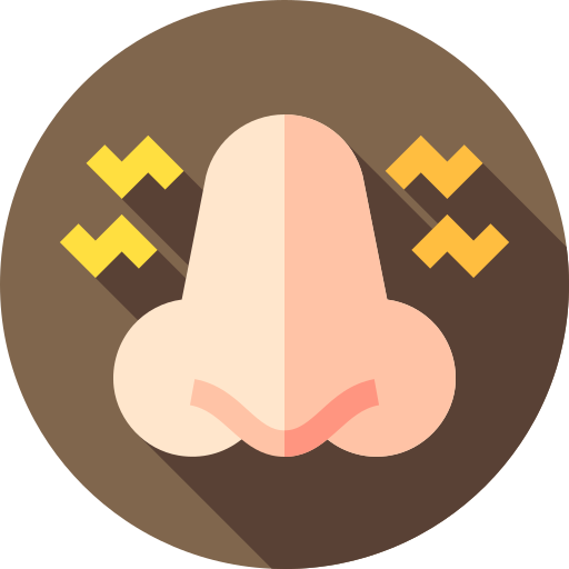 Nasal Flat Circular Flat icon