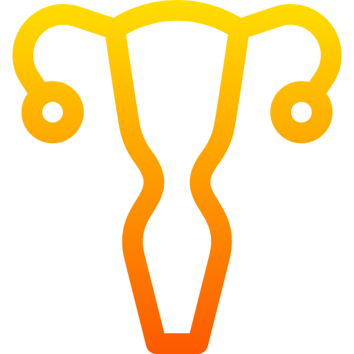 자궁 Basic Gradient Lineal color icon