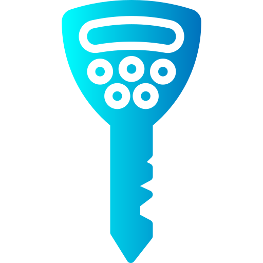 digitale sleutel Generic Flat Gradient icoon