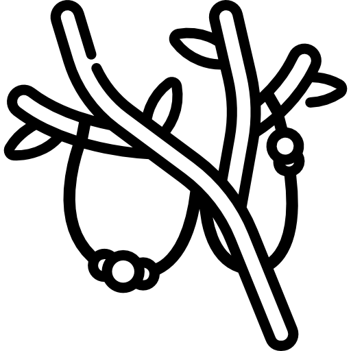 ブランチ Special Lineal icon