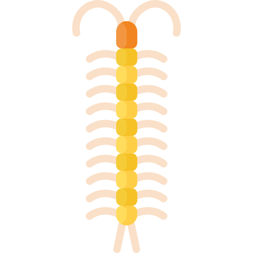Centipede Special Flat icon