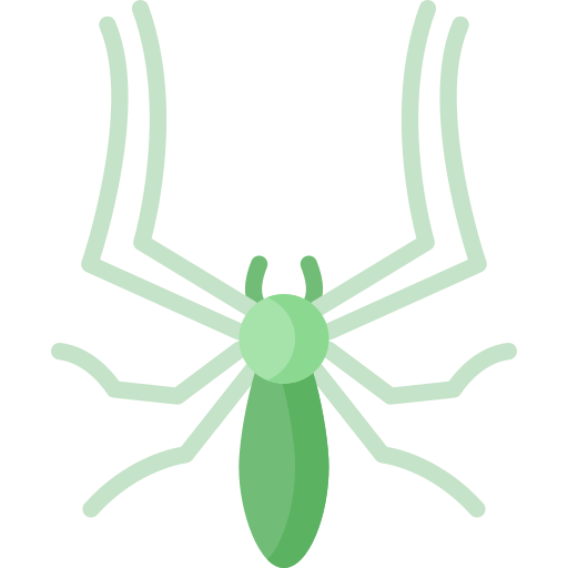 Spider Special Flat icon