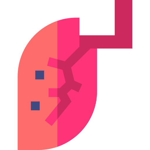 rak płuc Basic Straight Flat ikona