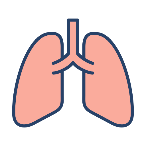 poumons Generic Outline Color Icône