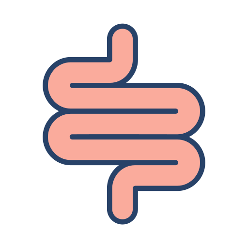 intestino Generic Outline Color icono