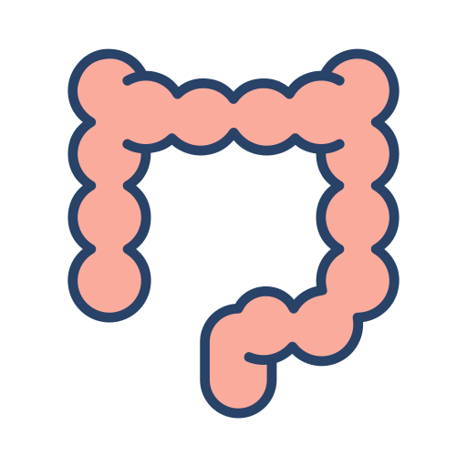 intestino Generic Outline Color icona