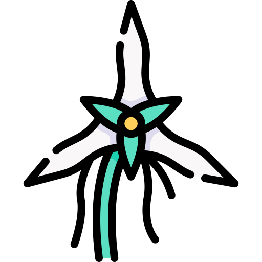 angraecum Special Lineal color icon