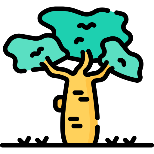baobab Special Lineal color icono