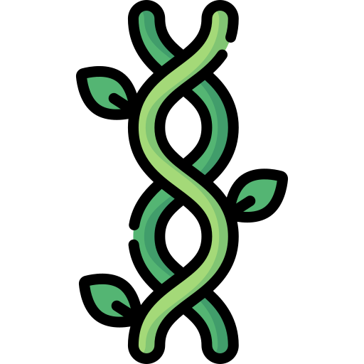 dna Special Lineal color ikona