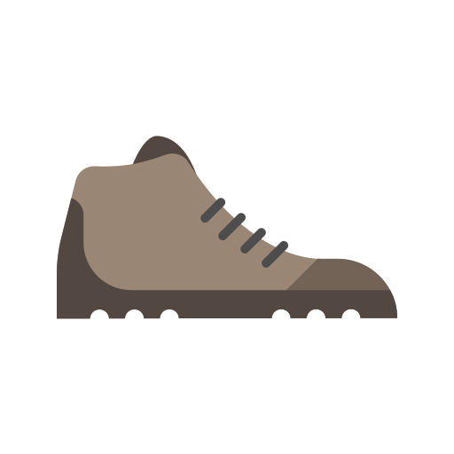 schuh Generic Flat icon