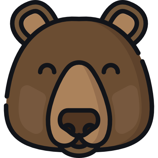 Bear Special Lineal color icon