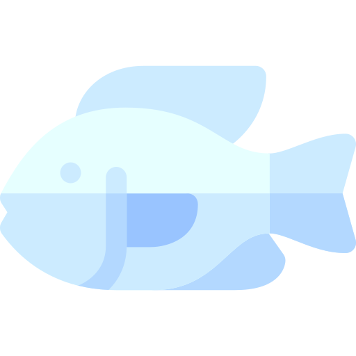 Tilapia Basic Rounded Flat icon