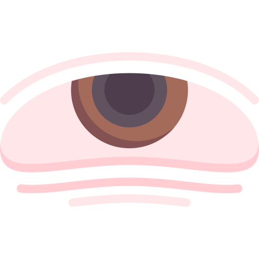 occhio Special Flat icona