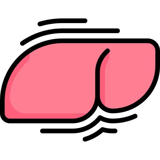 hígado Special Lineal color icono